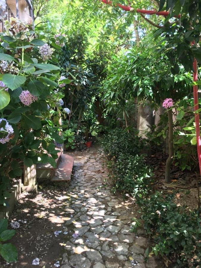 B&B Le Casette SantʼOnofrio Exterior foto